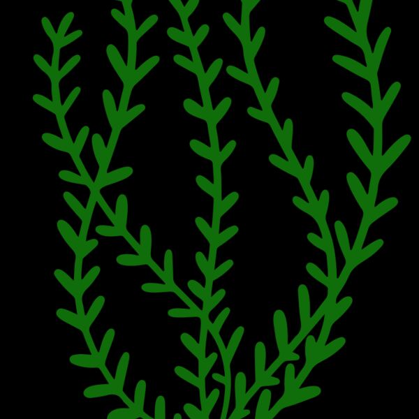 Sea Plants 3 Thumbnail