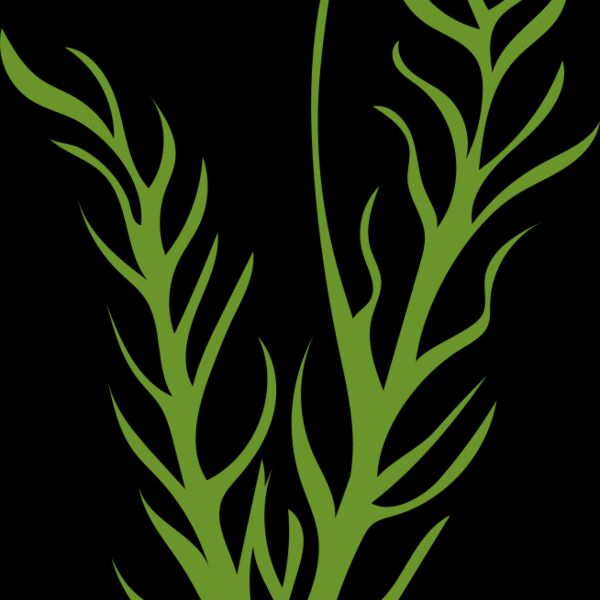 Leaves 8 Thumbnail